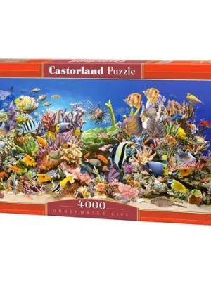 Castorland dėlionė Underwater Life 4000 det.