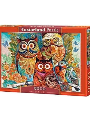Castorland dėlionė Owls 2000 det.