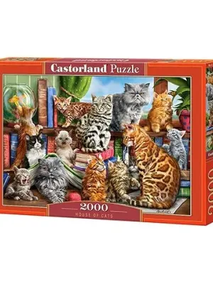 Castorland dėlionė House of Cats  2000 det.