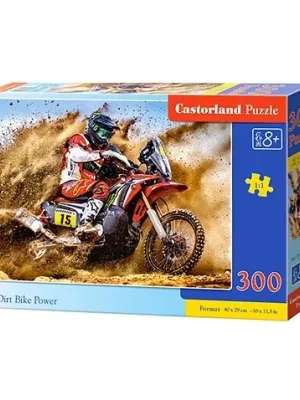 Castorland dėlionė Cascade Run  300 det.