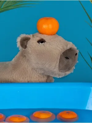 Fancy Minkšta Kapibara 20 cm