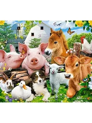 Castorland dėlionė  Farm Friends 60 det.