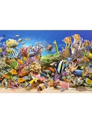 Castorland dėlionė Underwater Life 4000 det.