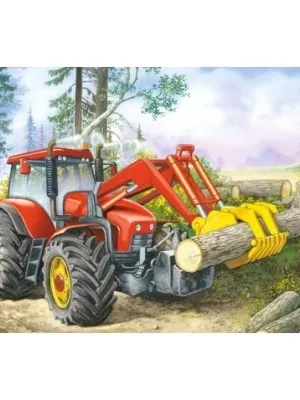 Castorland dėlionė Forest Site 60 det.