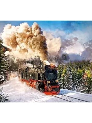 Castorland dėlionė Steam Train 1000 det.