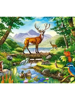 Castorland dėlionė Woodland Harmony 300 det.