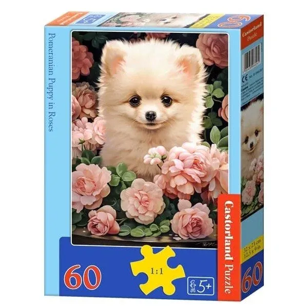 Castorland dėlionės Pomeranian Puppy in Roses 60 det.