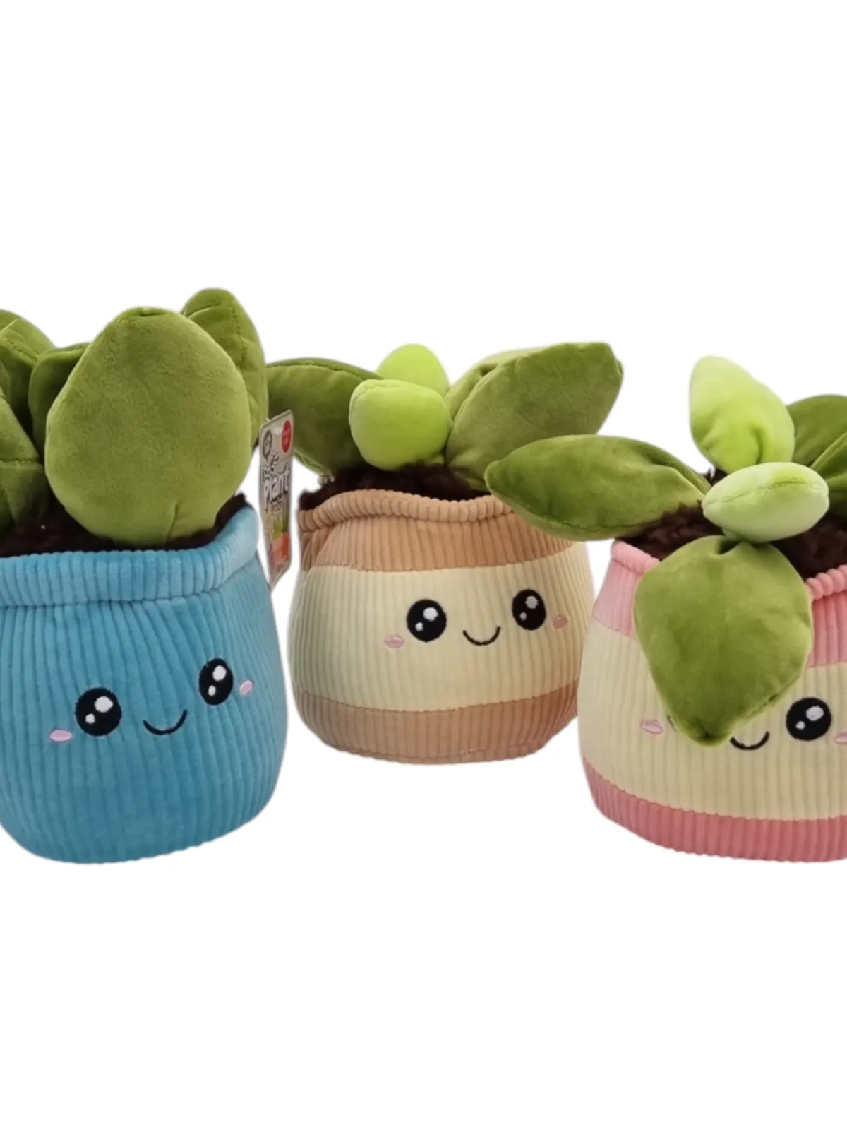 Pliušinė gėlė vazone, 20 cm