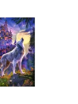 Castorland Dėllionė   Wolf Castle 1000 Det.