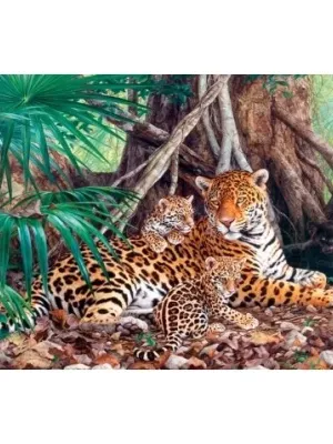 Castorland dėlionė  Jaguars In The Jungle 3000 det.