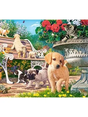 Castorland dėlionė  Hide and Seek 500 det