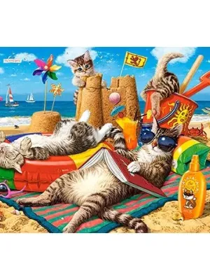 Castorland Dėlionė  Summer Vibes  300 Det.