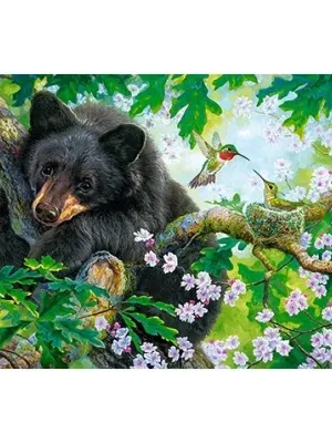 Castorland dėlionė  Hide and Seek 500 det