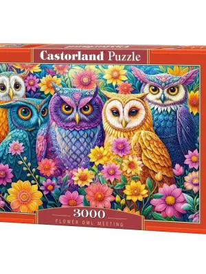 Castorland dėlionė Flower Owl Meeting 3000 det.