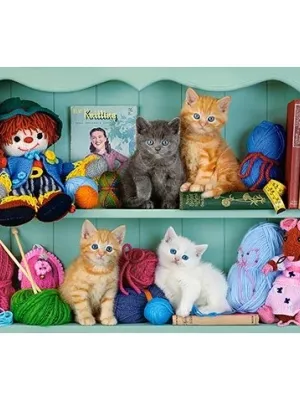 Castorland dėlionė Kiiten Shelves 500 det.