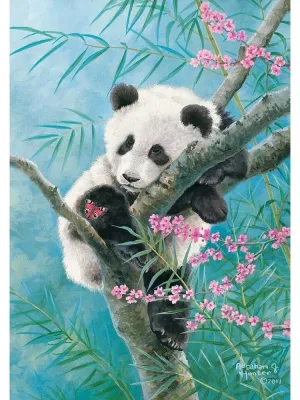 Castorland dėlionė Bamboo Dreams 500 det.