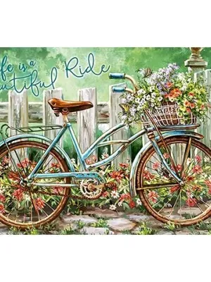 Castorland dėlionė Beautiful Ride  500 det.