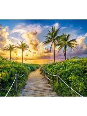 Castorland dėlionė Colorful Sunrise in Miami,USA  3000 det.