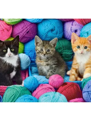 Castorland dėlionė Kittens In Yam Store  1000 det.