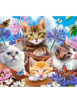 Castorland dėlionė Kittens With Flowers 120 det.