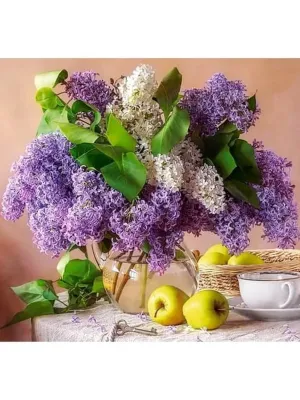 Castorland dėlionė Lilac Still Life 500 det