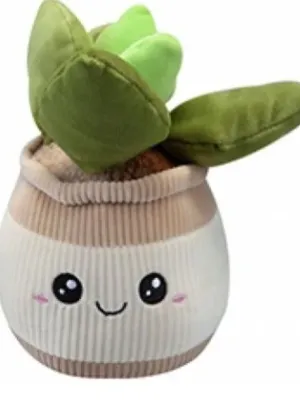 Pliušinė gėlė vazone, 20 cm