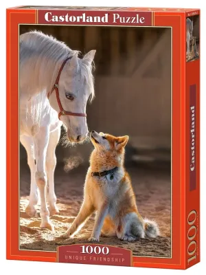 Castorland dėlionė Unique Friendship 1000 det