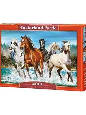 Castorland dėlionė CALL OF NATURE  2000 det.