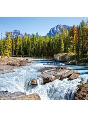 Castorland dėlionė Athabasca River Jasper National Park Canada 1500 det.