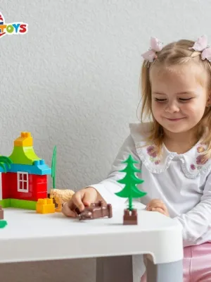 Technok konstruktorius Namų ūkis