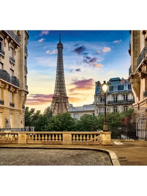 Castorland dėlionė Walk in Paris at Sunset 1000 det.