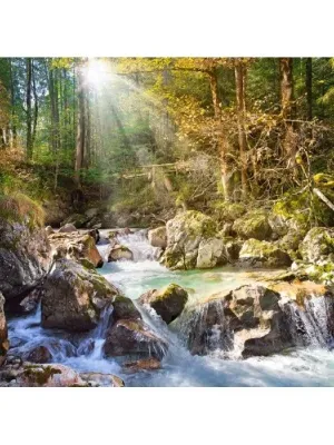 Castorland dėlionė Reminiscence of the Autumn Forest 2000 det