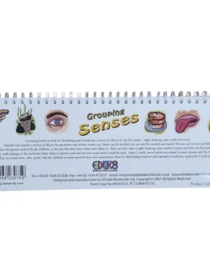 Lavinamoji knygutė Grouping Seasans/Senses