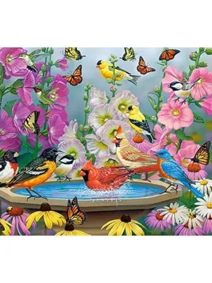 Castorland dėlionė RHYTHM OF NATURE 2000 det.