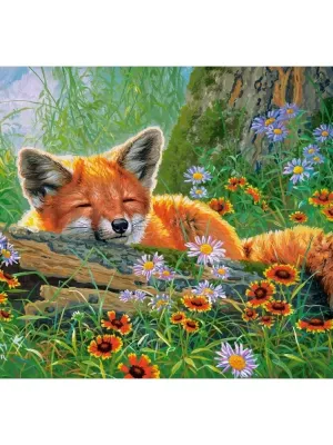 Castorland dėlionė Foxy Dreams 500 det.