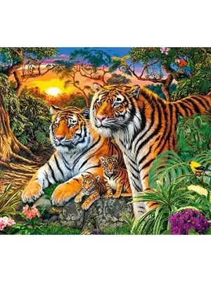 Castorland dėlionė Tiger Family 2000 det.