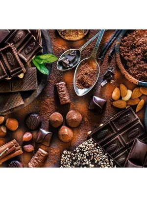 Castorland dėlionė Chocolate Treats 500 det.