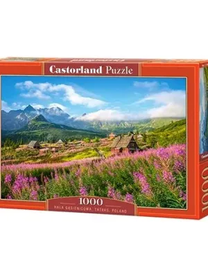 Castorland dėlionė Hala Gasienicowa, Tatras, Poland 1000 det.