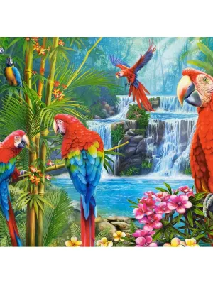 Castorland dėlionė Parrot Meeting 2000 det.