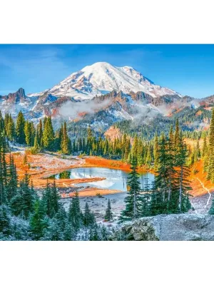 Castorland dėlionė Mount Rainier National Park, USA 1000 det