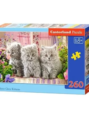 Castorland dėlionė THREE GREY KITTENS 260 det.