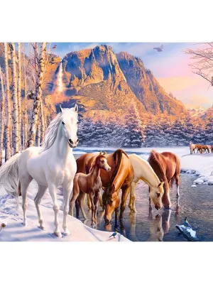 Castorland dėlionė Winter Melt 500 det