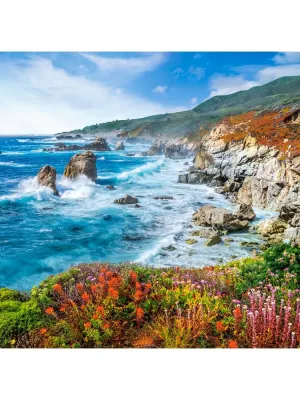 Castorland dėlionė Sur Coastline California  USA 2000 det.