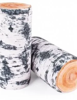 Fancy minkštas žaislas beržo rąstas 38 cm