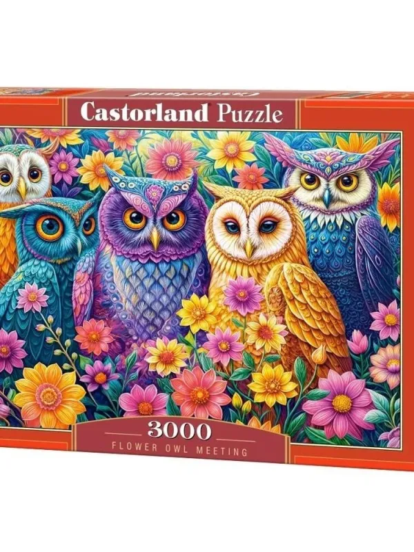 Produktas Castorland dėlionė Flower Owl Meeting 3000 det. Paveikslėlis