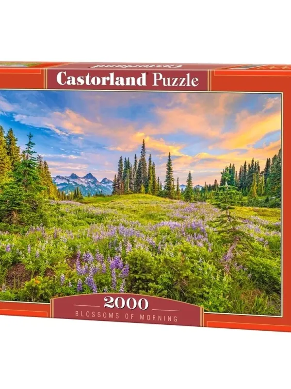 Produktas Castorland dėlionė Blossoms of Morning 2000 det. Paveikslėlis