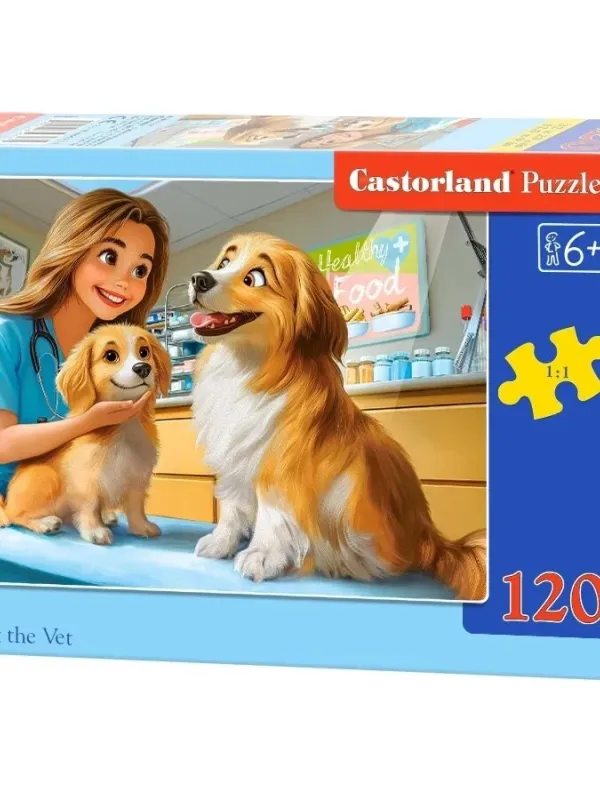 Produktas Castorland dėlionė Dogs at the Vet 120 det. Paveikslėlis