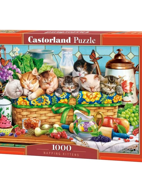 Produktas Castorland dėlionė Napping Kittens 1000 det. Paveikslėlis