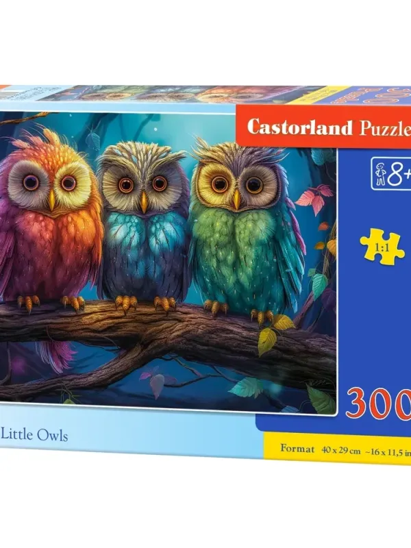 Produktas Castorland dėlionė  Three Little Owls 300 det. Paveikslėlis