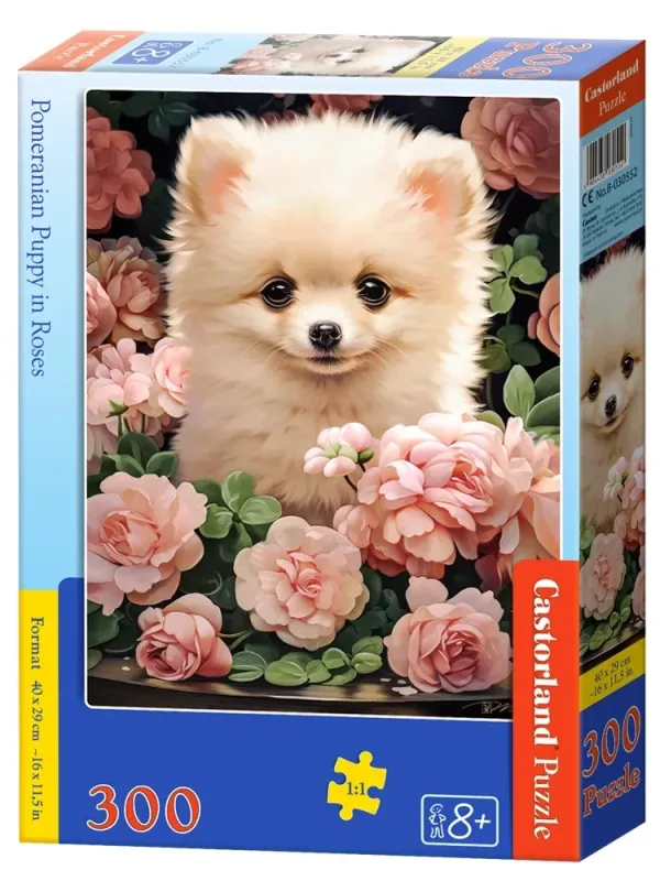 Produktas Castorland dėlionė  Pomeranian Puppy in Roses 300 det. Paveikslėlis